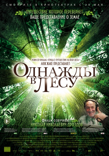 Смотреть фильм Однажды в лесу / Once in the Forest