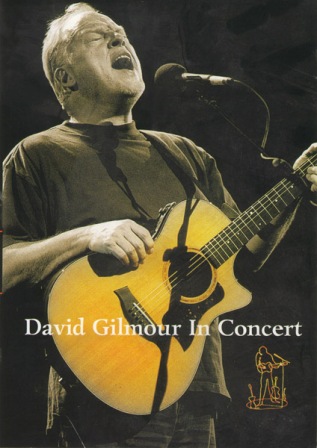 смотреть фильм Концерт Дэвида Гилмора / David Gilmour in Concert  онлайн бесплатно без регистрации