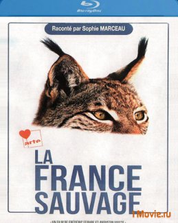 смотреть фильм Дикая Франция  / La France sauvage онлайн бесплатно без регистрации