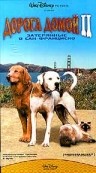 смотреть фильм Дорога домой 2: Затерянные в Сан-Франциско / Homeward Bound II: Lost in San Francisco онлайн бесплатно без регистрации