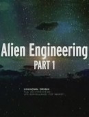    / UFO Files: Alien Engineering 