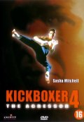 смотреть фильм Кикбоксер 4: Агрессор / Kickboxer 4: The Aggressor онлайн бесплатно без регистрации