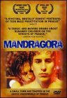   / Mandragora 
