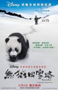 смотреть фильм След панды / Xiong mao hui jia lu онлайн бесплатно без регистрации