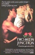 смотреть фильм Слияние двух лун / Two Moon Junction онлайн бесплатно без регистрации