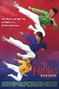 смотреть фильм Три ниндзя наносят ответный удар / 3 Ninjas Kick Back онлайн бесплатно без регистрации