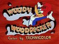    / The New Woody Woodpecker Show 