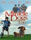 смотреть фильм Зак и чудо-собаки / Miracle Dogs Too онлайн бесплатно без регистрации